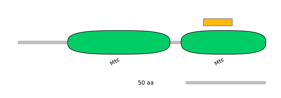 HsaEX0057750-INC