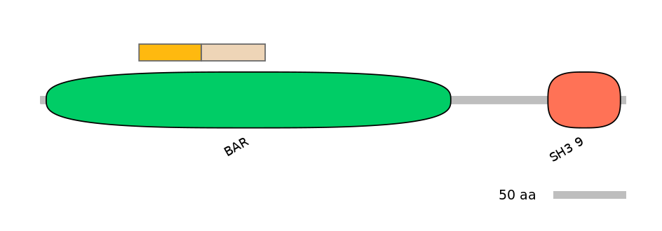 HsaEX0058032-EXC