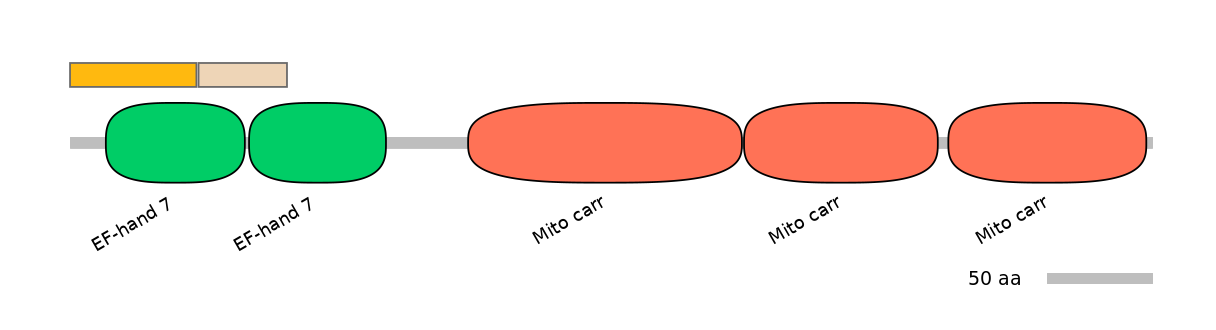 HsaEX0059044-EXC