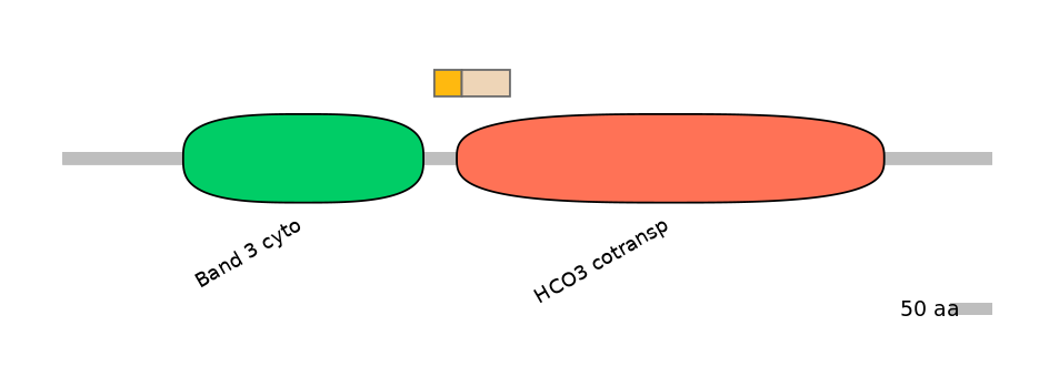 HsaEX0059783-EXC