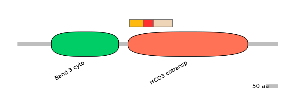 HsaEX0059784-INC