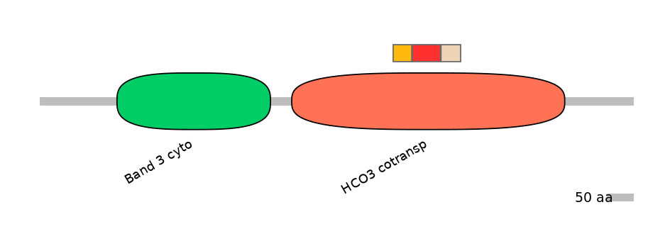 HsaEX0059785-INC