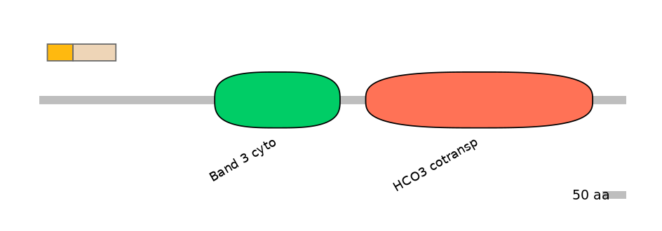 HsaEX0059801-EXC