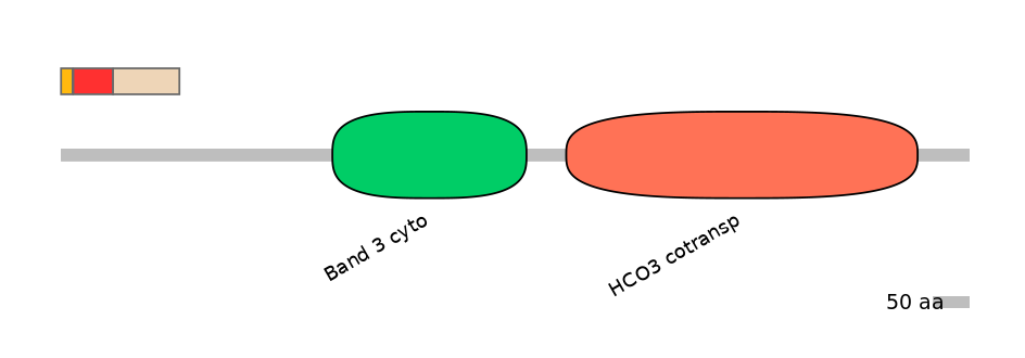 HsaEX0059802-INC