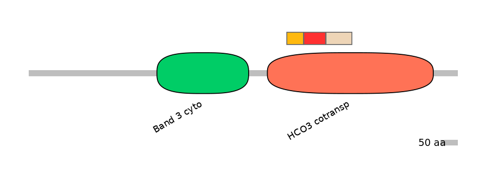 HsaEX0059807-INC