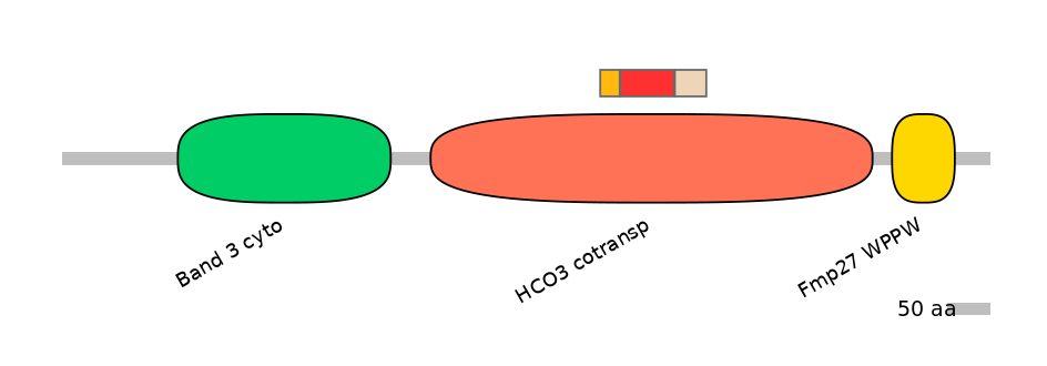 HsaEX0059809-INC