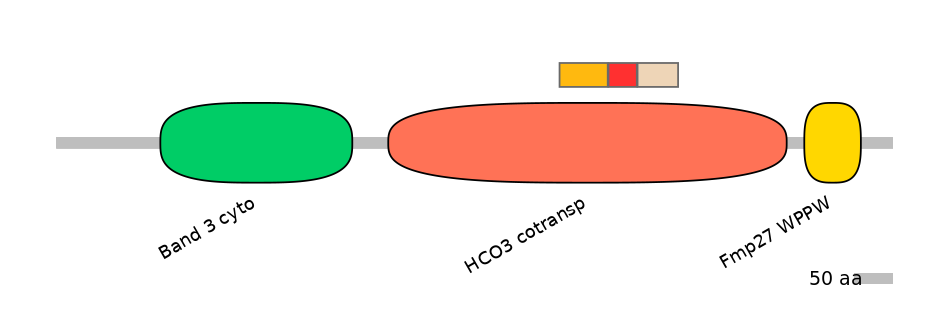 HsaEX0059810-INC
