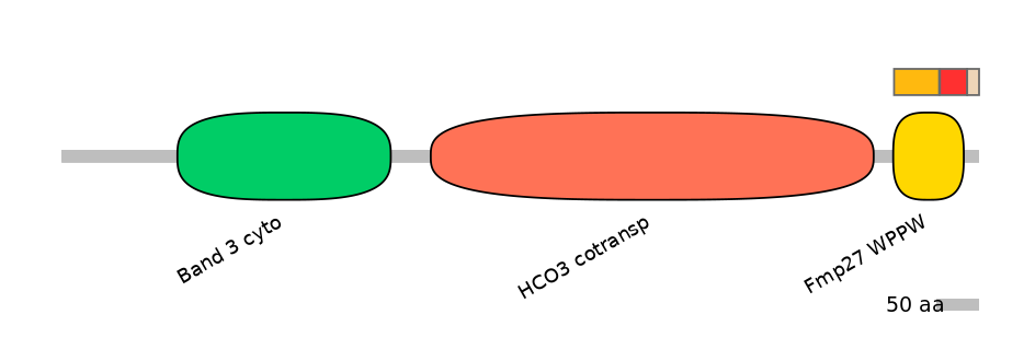HsaEX0059811-INC
