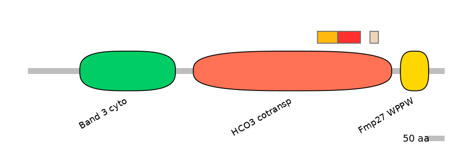 HsaEX0059816-INC