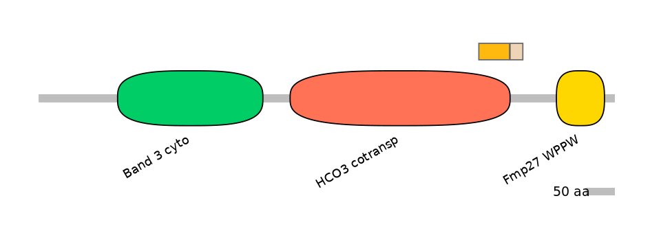 HsaEX0059817-EXC
