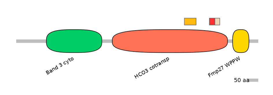 HsaEX0059817-INC
