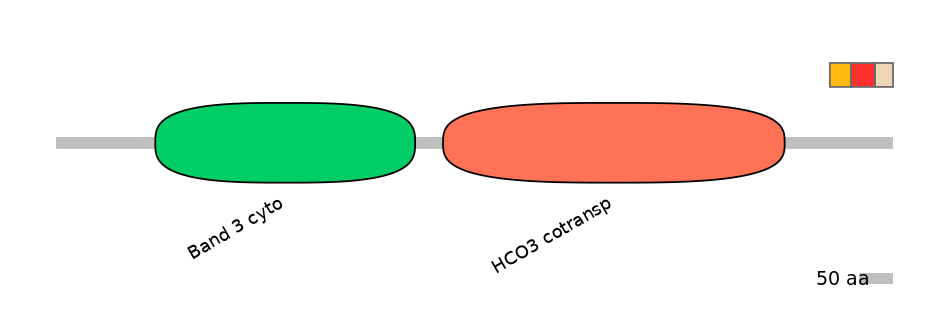 HsaEX0059842-INC