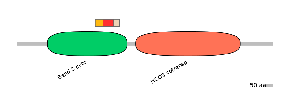 HsaEX0059844-INC