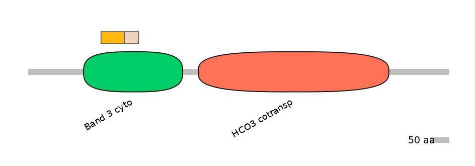 HsaEX0059845-EXC