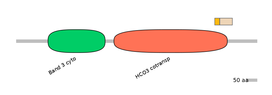 HsaEX0059848-EXC