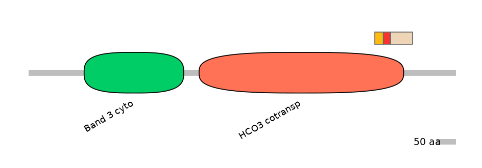 HsaEX0059848-INC