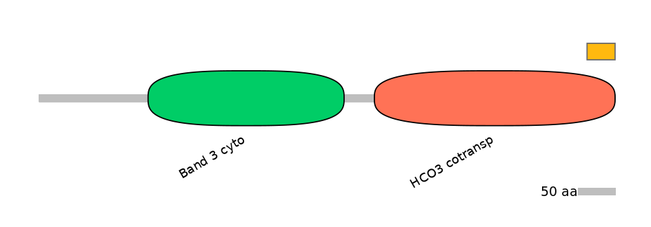 HsaEX0059853-EXC