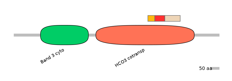 HsaEX0059853-INC