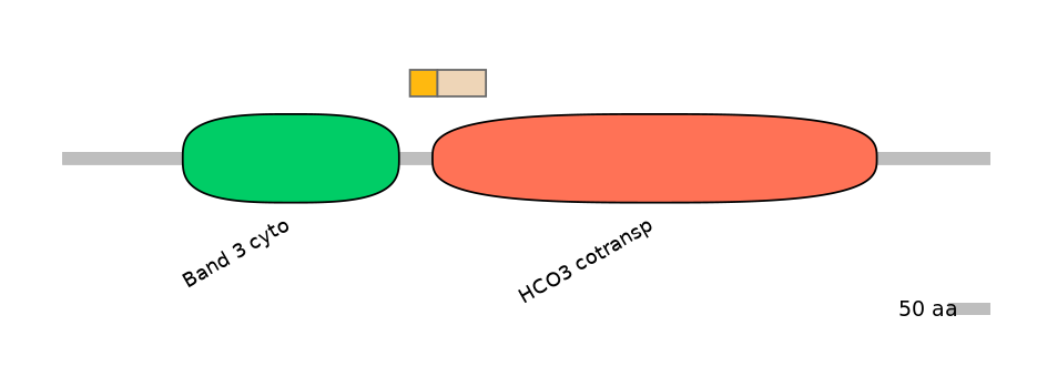 HsaEX0059857-EXC