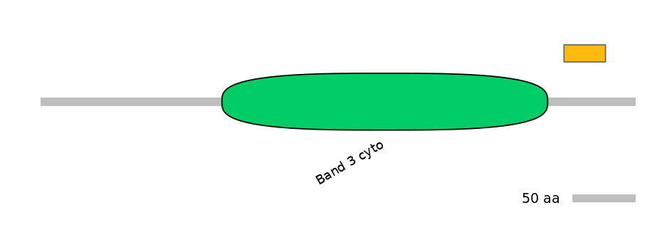 HsaEX0059858-EXC