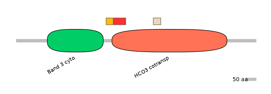 HsaEX0059858-INC
