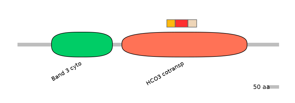 HsaEX0059862-INC