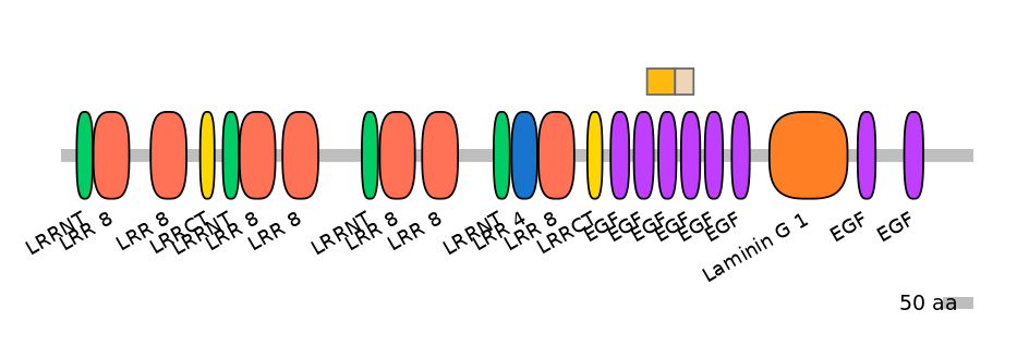 HsaEX0060156-EXC