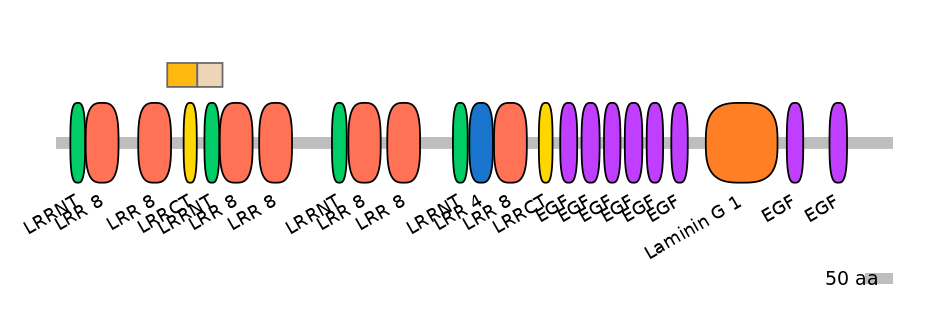HsaEX0060157-EXC