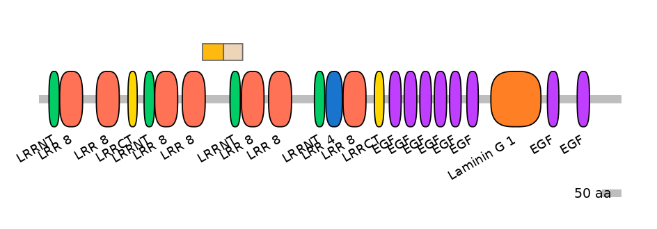 HsaEX0060159-EXC