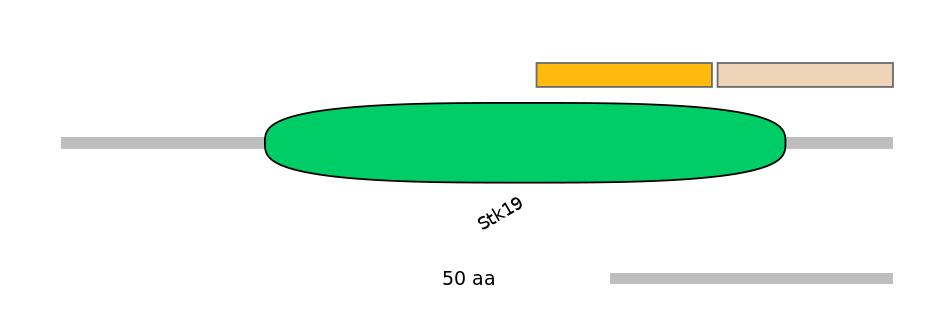 HsaEX0062457-EXC