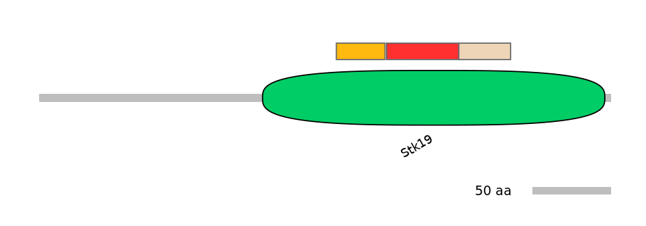 HsaEX0062457-INC