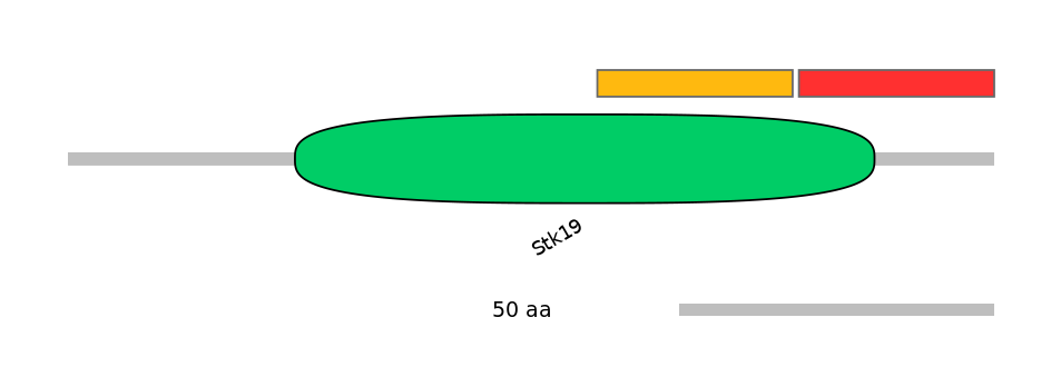 HsaEX0062458-INC