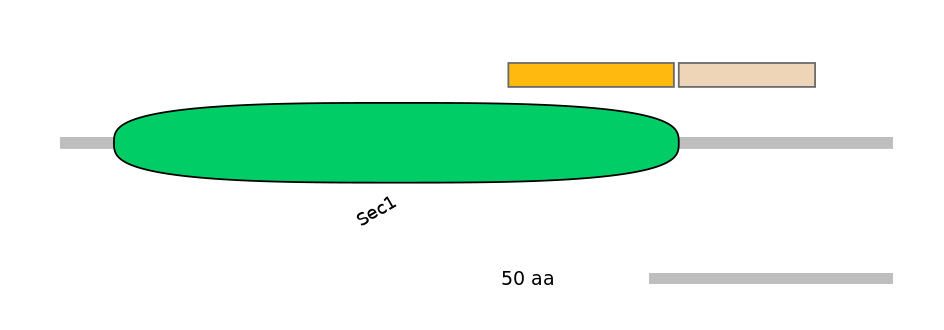 HsaEX0062736-EXC