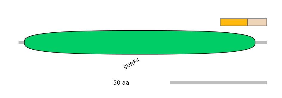 HsaEX0062973-EXC