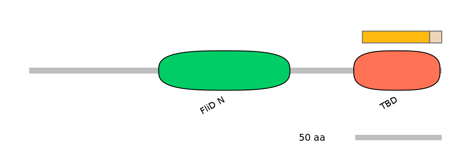 HsaEX0063574-EXC