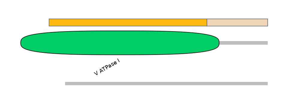 HsaEX0064214-EXC