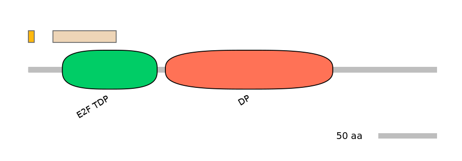 HsaEX0064638-EXC