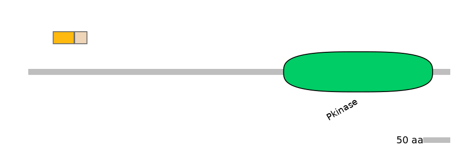 HsaEX0065112-EXC