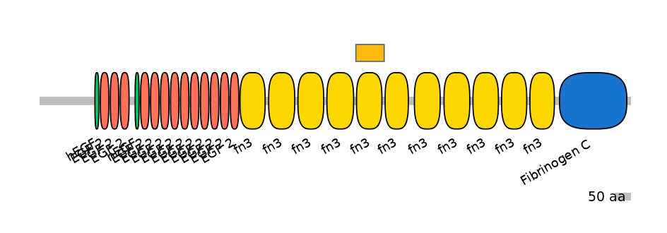 HsaEX0066148-EXC