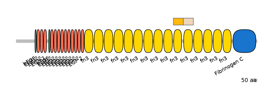 HsaEX0066150-EXC