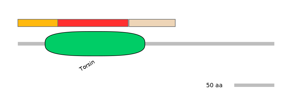 HsaEX0066555-INC