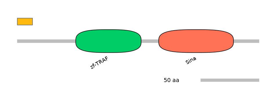 HsaEX0066808-EXC