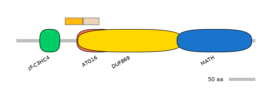 HsaEX0066839-EXC