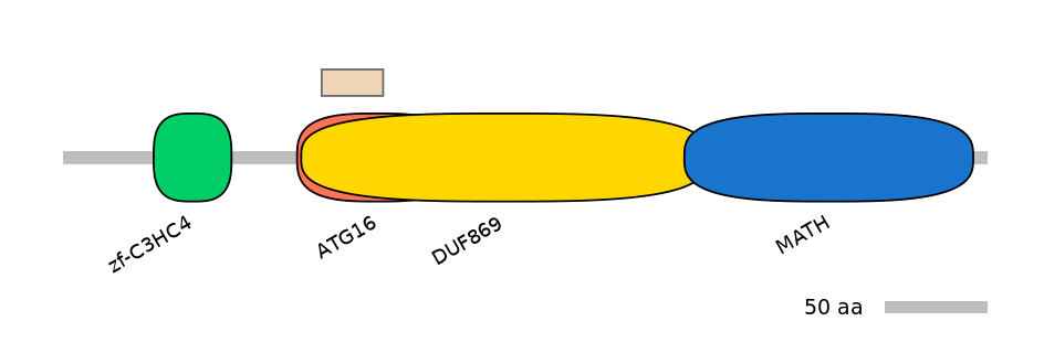 HsaEX0066840-EXC