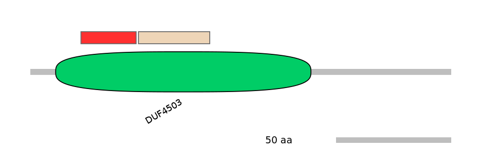 HsaEX0067032-INC