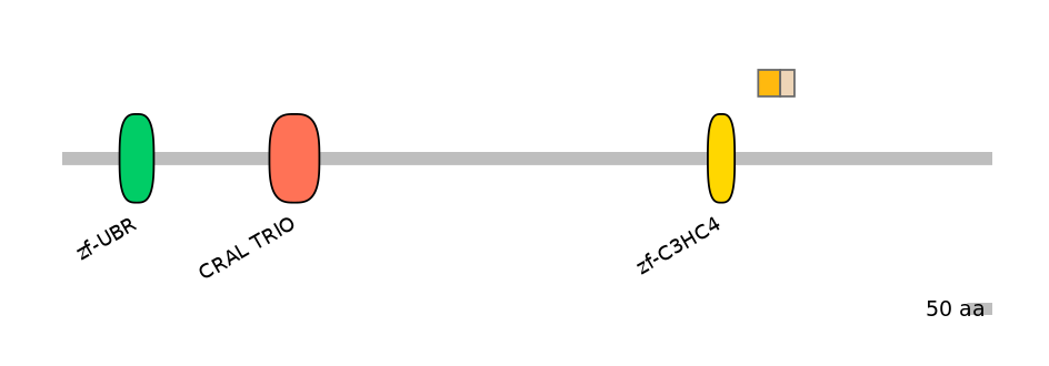 HsaEX0068983-EXC