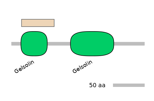 HsaEX0070339-EXC