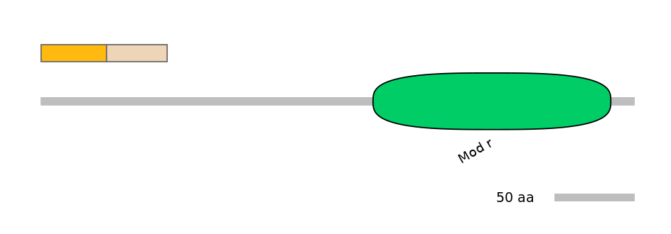 HsaEX0070585-EXC