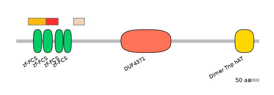 HsaEX0072878-INC