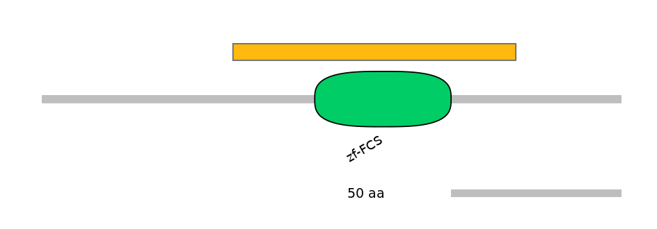 HsaEX0072879-EXC
